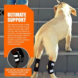 ZHHSUNY 1 Pair Dog Ankle Braces for Hind Legs, Ankle Support with Reflective Safety Belts for Hind Leg Wounds, Healing and Injuries and Sprains from Arthritis (S)