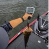Rapala Touch Screen Tourney Scale 15lb