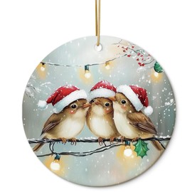 HUKINE Christmas Bird Ornaments, Bird Christmas Tree Ornaments, Christmas Bird Lover Gifts, Bird Decor Ornaments, Bird Themed Gifts, Bird Ornaments for Christmas Tree,Bird Gifts for Bird Lovers Women