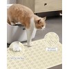 CatSilicone Cat Litter Mat, Cat Litter Box Mat for Cat