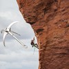 Azarxis Grappling Hook, Climbing Hook, Gravity Hook, 3 Jaws, 4