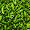 Shishito Pepper 70 Seeds, Japanese Heirloom Peppers, Shishitōgarashi, Non-GMO Japanese