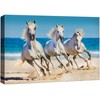 NWT Canvas Print Wall Art Tropical Beach Island Horse Stallions