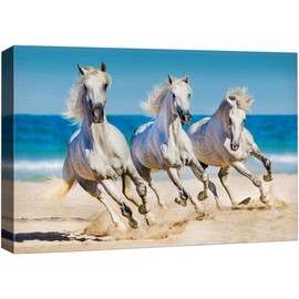 NWT Canvas Print Wall Art Tropical Beach Island Horse Stallions Animals Nature Photography Realism Rustic Landscape Portrait Wildlife Country for Living Room, Bedroom, Office - 16"x24"