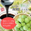 Saruume Ume extract (plum extract) paste 300g No additives Made
