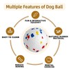 SUNNEKO Pack of 4 Dog Balls for Small and Medium
