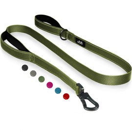 TwoEar 6FT 1IN Strong Green Dog Leash with 2 Padded Handles, Traffic Handle Extra Control, Comfortable Soft Dual Handle, Auto Lock Hook, Reflective Walking Lead for Small Medium and Large Dogs