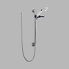Delta Faucet RPW124HDF Single Function Handshower with Grab Bar