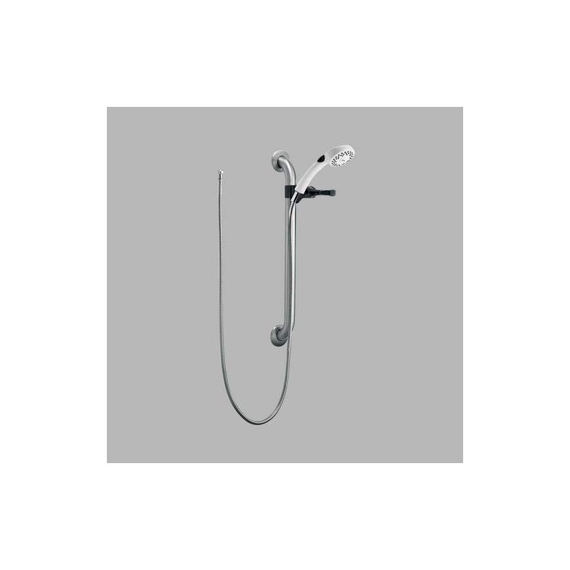 Delta Faucet RPW124HDF Single Function Handshower with Grab Bar