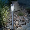 Esotec Solar Light Tower Light 60 cm 12) Stainless Steel