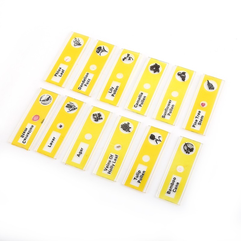 A Set Plastic Prepared Microscope Slides Animals Insects Plants Flowers