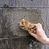 アズマ たわし 角までコケ無いたわしロング 幅:約5cm 全長:約14cm コケ・汚れ落としに。 AZ728