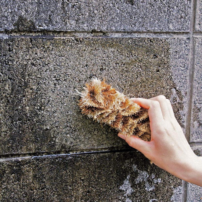 アズマ たわし 角までコケ無いたわしロング 幅:約5cm 全長:約14cm コケ・汚れ落としに。 AZ728