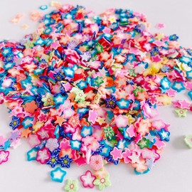 EHOPE 3000 PCS Polymer Fruit Slices Nail Art Slice for DIY 3D Polymer Slices Making for Nail Art (Pentagram Slices)