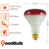 GoodBulb Memorial Day 75-Watt Incandescent Light Bulbs - Red and