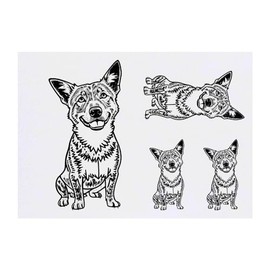 4 x 'Smiling Australian Cattle Dog' Temporary Tattoos - Water Resistant, Skin-Safe, Non-Toxic Transfers, Mixed Sizes (TO00067706)