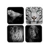 4 x Square White Tiger Coasters - Animals Safari Wildlife