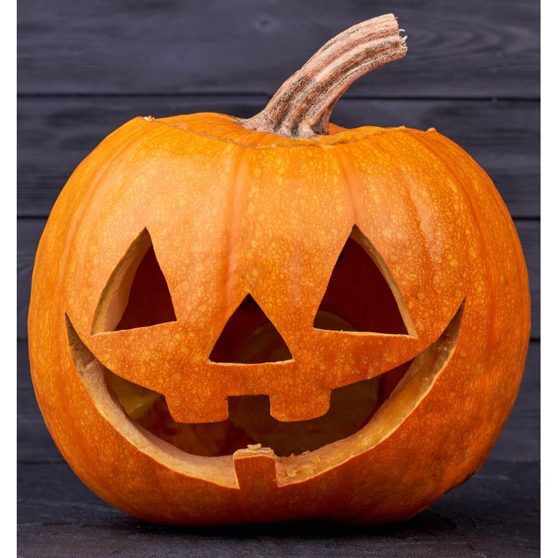 Pumpkin Seeds for Planting – 4 Variety Pack: Big Max,