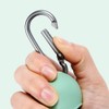 Dog Poop Bag Dispenser with Built-in LED Flashlight and Metal