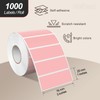 Meitaat 3 × 1 Inches Pink Rectangle Color Coding Labels