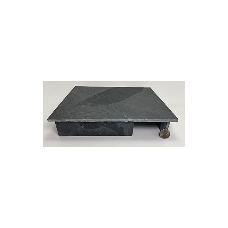 TheFrogHouse Slate Stone Reptile Hide 10x8x2.5 Natural Cave Decor