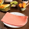 Candy Cottons Terracotta Cloth Dinner Napkins - Cotton, 18x18 in,