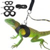 Bearded Dragon Harness and Leash Set, 3-Size Adjustable Soft Leather