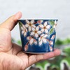 Sobachoko Stylish Kutani Ware Soba Bookuchi Soba Sakura Pottery Japanese