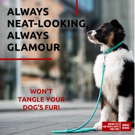 Rolled Leather Dog Leash 4Ft * 0.5 in for Small Medium and Large Dogs - Heavy Duty Leather Puppy Leash for Outdoor Walking Running Training - Strong Dog Leashes for Large Breed Dogs (Mint)