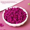 Dried Diced Dragon Fruit 4.93OZ/140G Dried Dragon Fruit Chips Snack,Cubes,