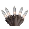 Northlight 35-Count Clear Mini Christmas Lights Set, 7ft Brown Wire