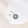 Viking Stud Earrings S925 Sterling Silver Abalone Compass Earrings Viking