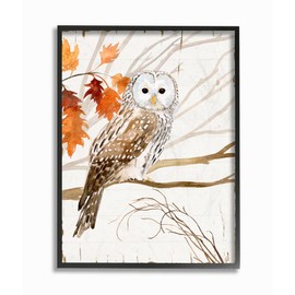 Stupell Industries Owl in Autumn Forest Animal Watercolor Painting Black Framed Wall Art, 11x14, Design by Artist Victoria Borges