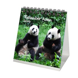 Tierzauber Asia Desk Calendar 10 cm x 10 cm for 2026 Animals Forest Nature Tree Gift Set Contents: 1 x Calendar, 1 x Christmas Pendant (2 Pieces Total)