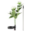 Solar Power LED Camellia Flower Light for Outdoor Yard Garden
