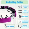 No Pull Dog Adjustable Collar with Buckle for Small Medium