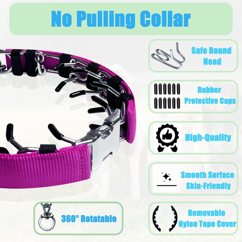 No Pull Dog Adjustable Collar with Buckle for Small Medium