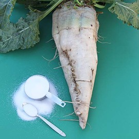 Sugar Beet Seeds - 1 LB Bulk ~24,000 Seeds - Non-GMO, Open Pollinated, Heirloom, Vegetable Gardening Seed