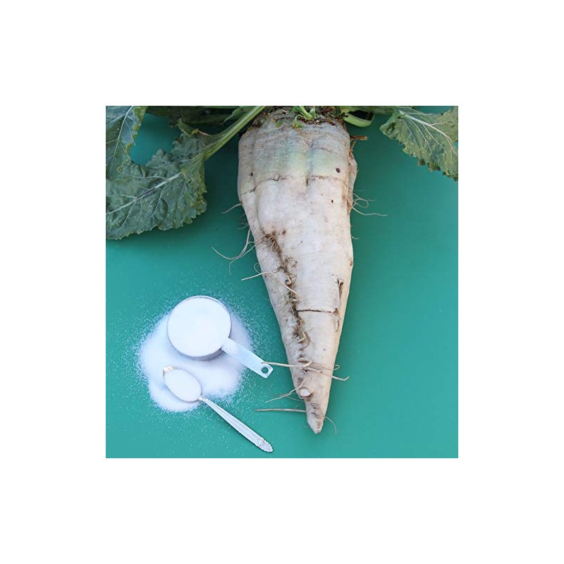 Sugar Beet Seeds - 1 LB Bulk ~24,000 Seeds -