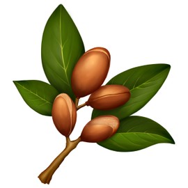 LOGONA Naturkosmetik Lengths and Tip Fluid Organic Argan Oil, Meets the Needs of Frizzy Unruly Hair, Vegan, 75 ml