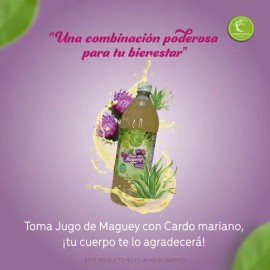 Bebida 6 Jugo Con Cardo Mariano Verde Santo Natural Origi 1l