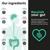 Feel Complete | Gut 3-in-1 | Premium Digestive Supplement |