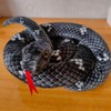 champracer Plush Snake Stuffed Realistic Plush Snake, 200 cm, as