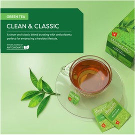 Wissotzky Pure Green Tea (6 Pack - 120 Tea Bags) | Antioxidant Rich | Real Green Tea