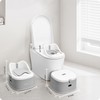 Babilous 3 in 1 Potty Training Toilet, Toddler Potty Training