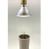 Botanium 15W LED Grow Light with E27 Socket - Plant