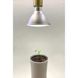 Botanium 15W LED Grow Light with E27 Socket - Plant Light for Indoor Plants, Full Spectrum, Neutral White Hue, Highly Efficient, Year-Round Use