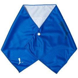 Puma BC1L 054426 Sports Swimming Gym Cooling Sensation Kids Super Cool Towel 23 Spring Summer Color Snorkel Blue (03) Free Size, 24 Spring Summer Color Snorkel Blue (03)