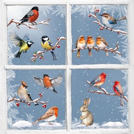 9sheets Winter Window Stickers for Glass Snow Scene Robin Bird Double-Sided Winter Window Clings Decals Seasonal Window Decorations (Snow and Bird)