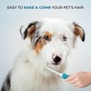 Poodle Pet Dematting Comb + Detangling Comb Blue Bundle